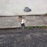 ゆうじ