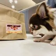 R-manの画像