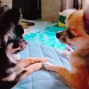 まりん♡