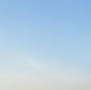 ミミの画像