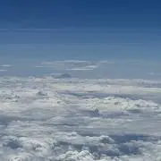 mayuの画像