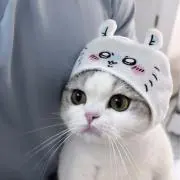 ‎^ ̳ᴗ ·̫ ᴗ ̳^ ‎♡
