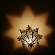 麻の画像