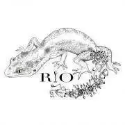 即発送即対応　ボディピアス Rioの画像