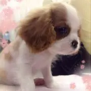 ぼと&ぽと