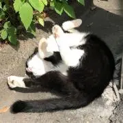 ちあいあいの画像