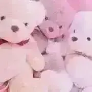 プロフ必須※翌日発送可能の画像