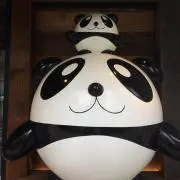 ひろの画像