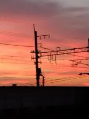 シャンディ・ガフの画像
