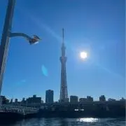 ホルの画像
