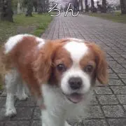 Villiers-S-Mの画像