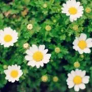 ☆