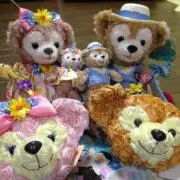 Tfam◟(◡ູ̈)◞の画像
