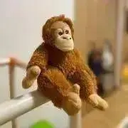 mii...☻の画像