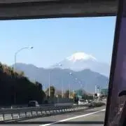 ニョッキーの画像