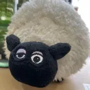 きょんの画像