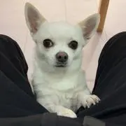 ゆーくんの画像