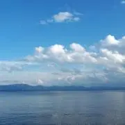 りんごの画像