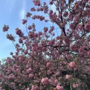 ゆう【プロフ必読】の画像