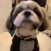 メヒア　アナの画像