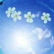 Nishi Cocoroの画像