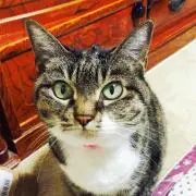 Keikoの画像