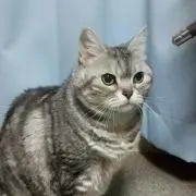 まるるんの画像