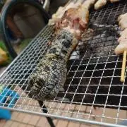 にわとり
