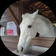 あいかにんじん(^o^)