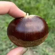 しょうたの画像