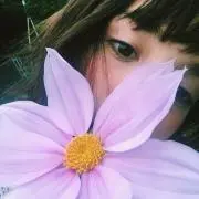 mokの画像