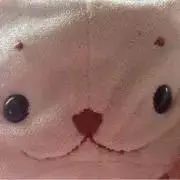 Image of まろん