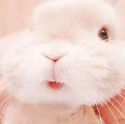りの画像