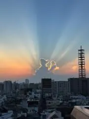 TOMMYの画像
