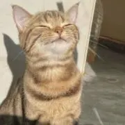 つくも