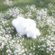 ちとせの画像