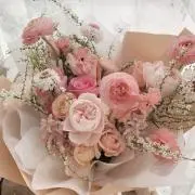 roseの画像