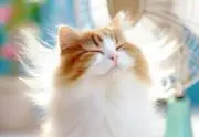 ☆きらら☆の画像