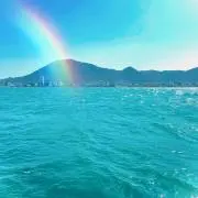 cre556の画像