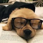 ぺぺ（プロフ必読）