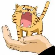 手乗りたいがー