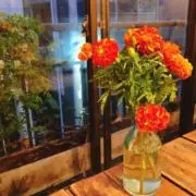 NY1122の画像