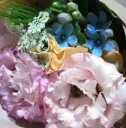 すずめの画像