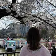 chamの画像