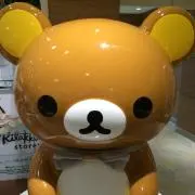 さおちゃんの画像