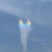 れな