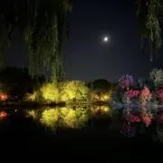 あの画像
