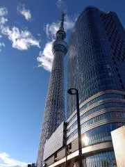 よしの
