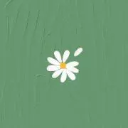 しおりの画像