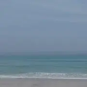 まるこ